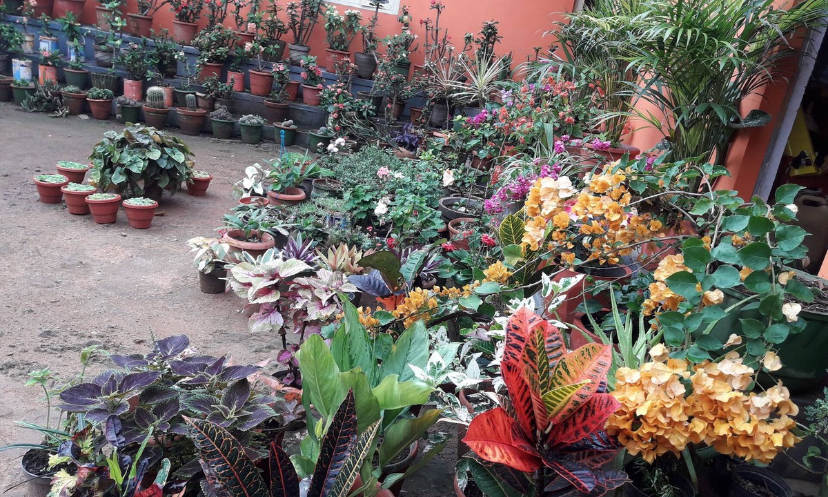 Virarajendrapet House | Chandragiri -romantic and traditional home for holiday vacation
