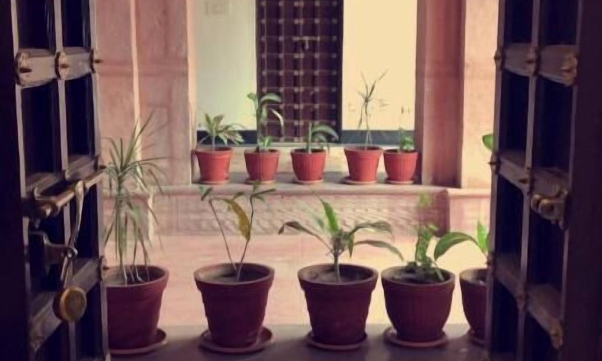Jodhpur Hotel | Chanod Haveli