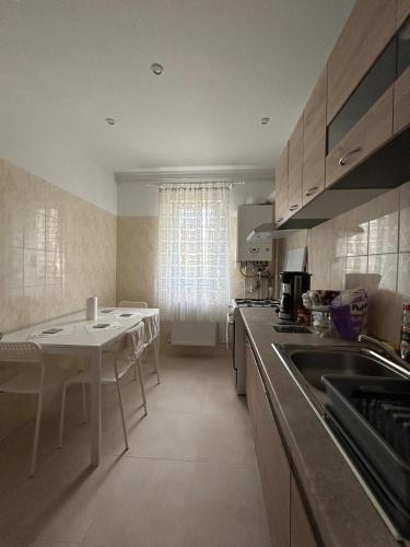Tirgu Ocna Apartment | City Apartment