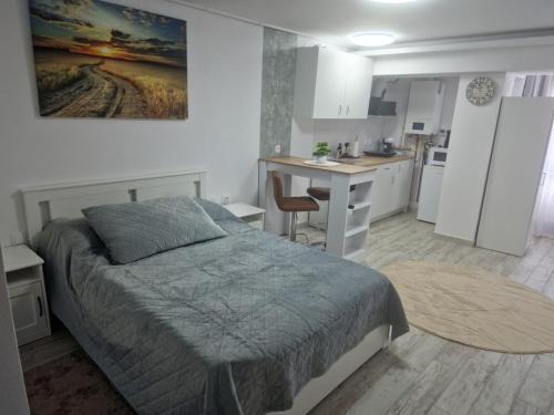 Targu Secuiesc Apartment | City Studio