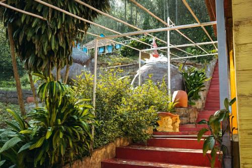 Yercaud Resort | Coffee Estate Stayz - A Unique & Peaceful Experience