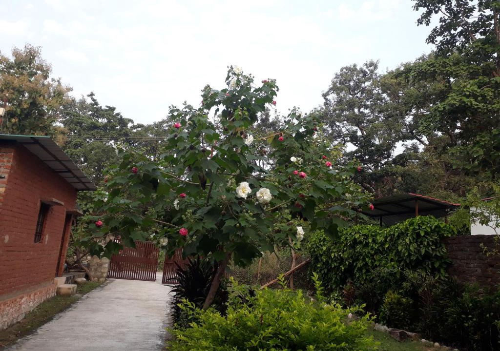 Bail Parao House | Corbett Green Orchard