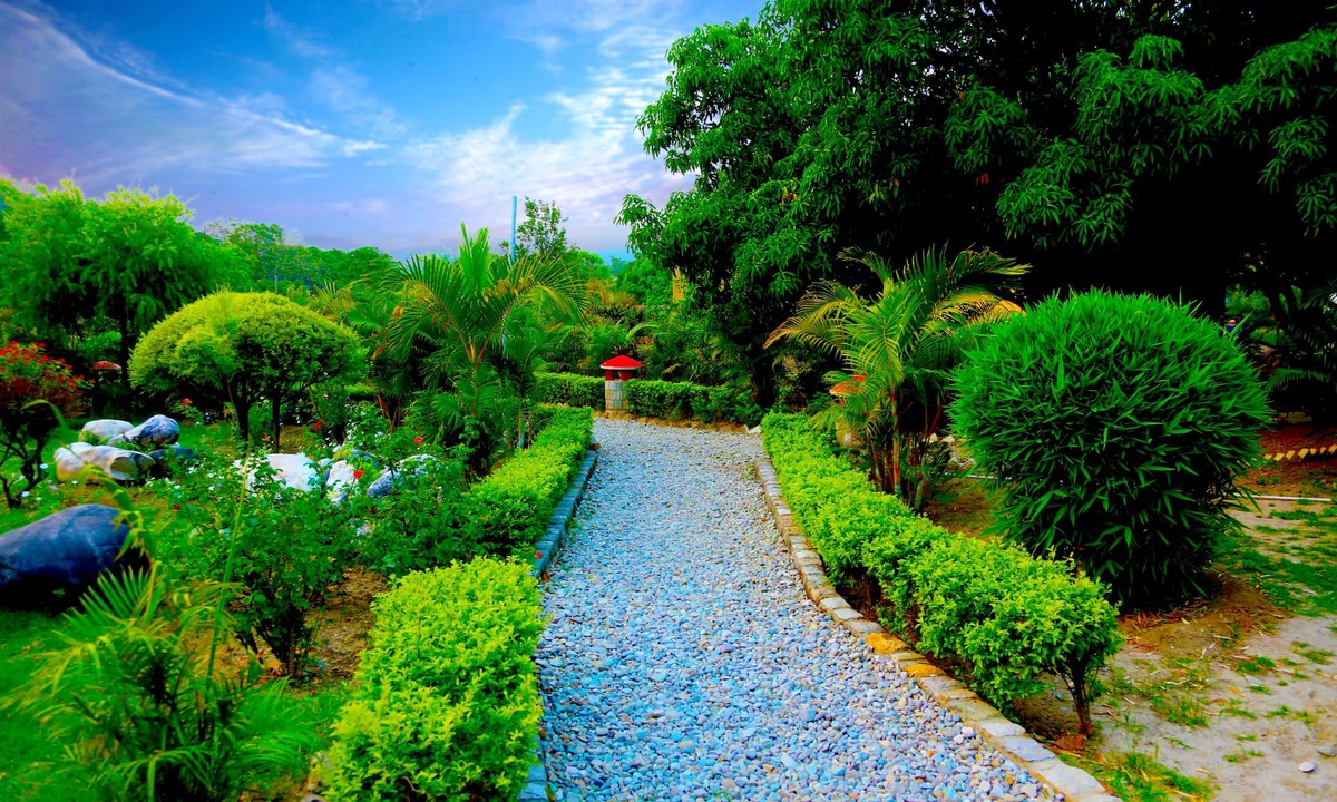 Dhikuli Hotel | Corbett Wild Resort - A River Access Property