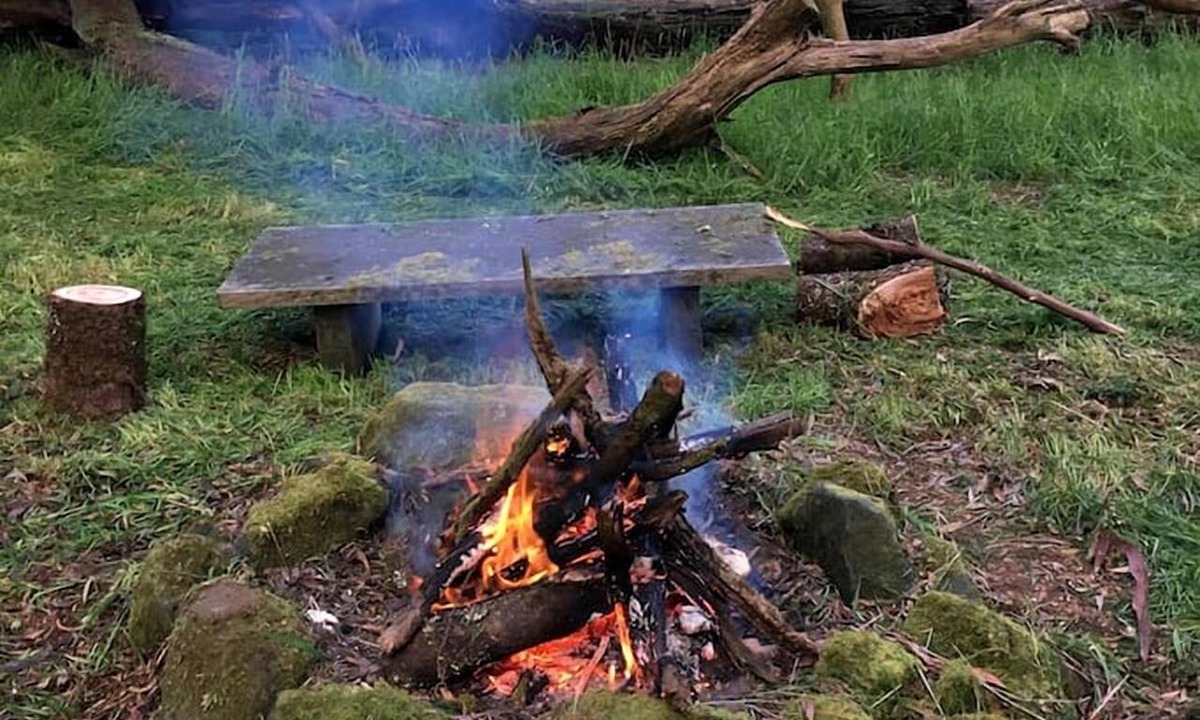 Tanybryn Cottage | Cottage with private Rainforest and Waterfalls in Tanybryn, Victoria