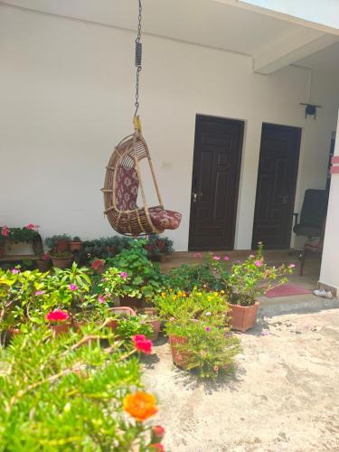 Mullusoge House | Cozy House homestay kushalnagar
