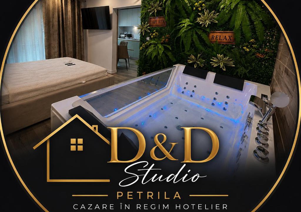 Petrila Apartment | D&D Studio