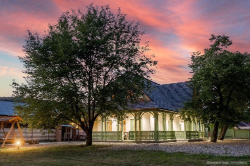 Piatra Neamt House | Dimineți în Cerdac