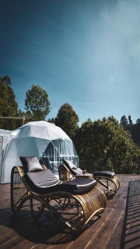 Kodaikanal Other | Divercity Luxury Glamp