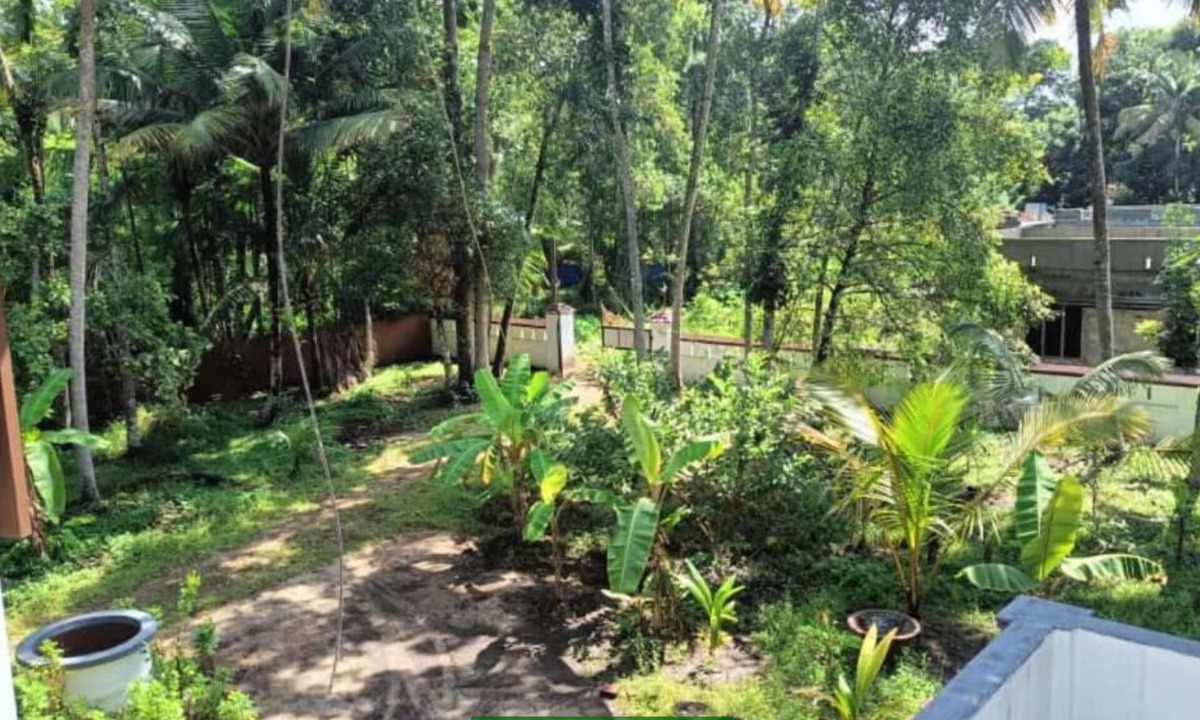 Pattanakkad House | Double room #4 @PEACE HOME STAY