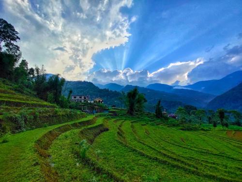 Kumai Bed & Breakfast | Drukinn gaireykhet homestay