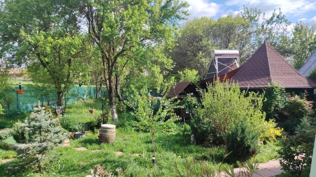 Valea Mare-Pravat Villa | Eden House Șelari
