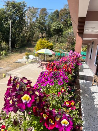 Aritar House | Elves Homestay
