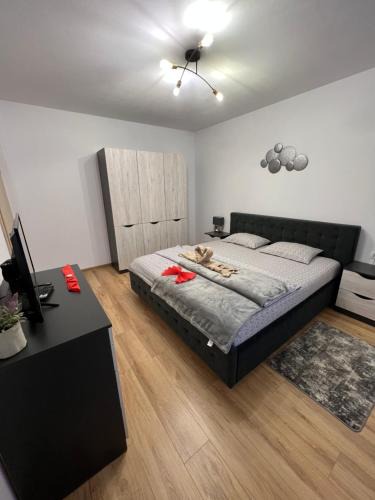 Pecica Apartment | Emanuela Apartments