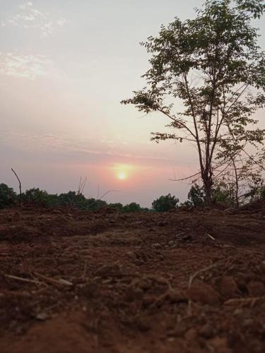 Murbad Other | Entire Private Farm on Rent 2 Acre with 3 Room, it's Kittu's Farm