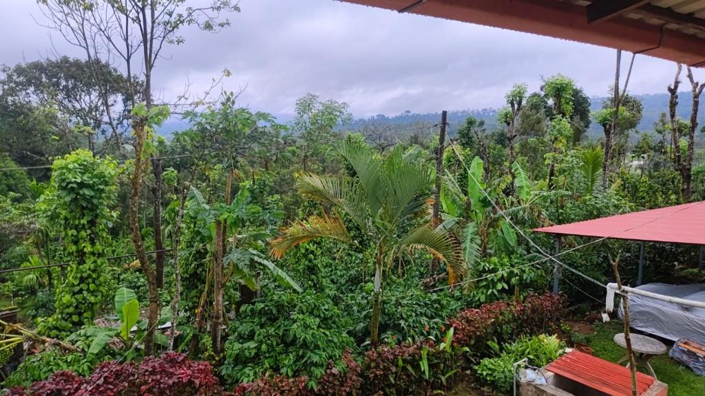 Mudigere House | Estateview Villa Homestay