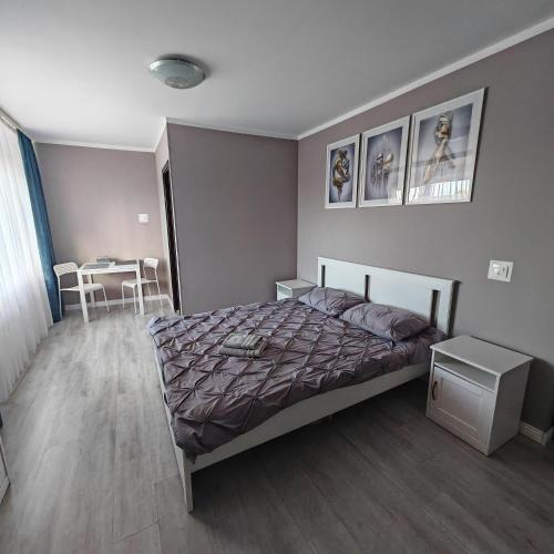 Tirgu Mures House | EVA's Rooms