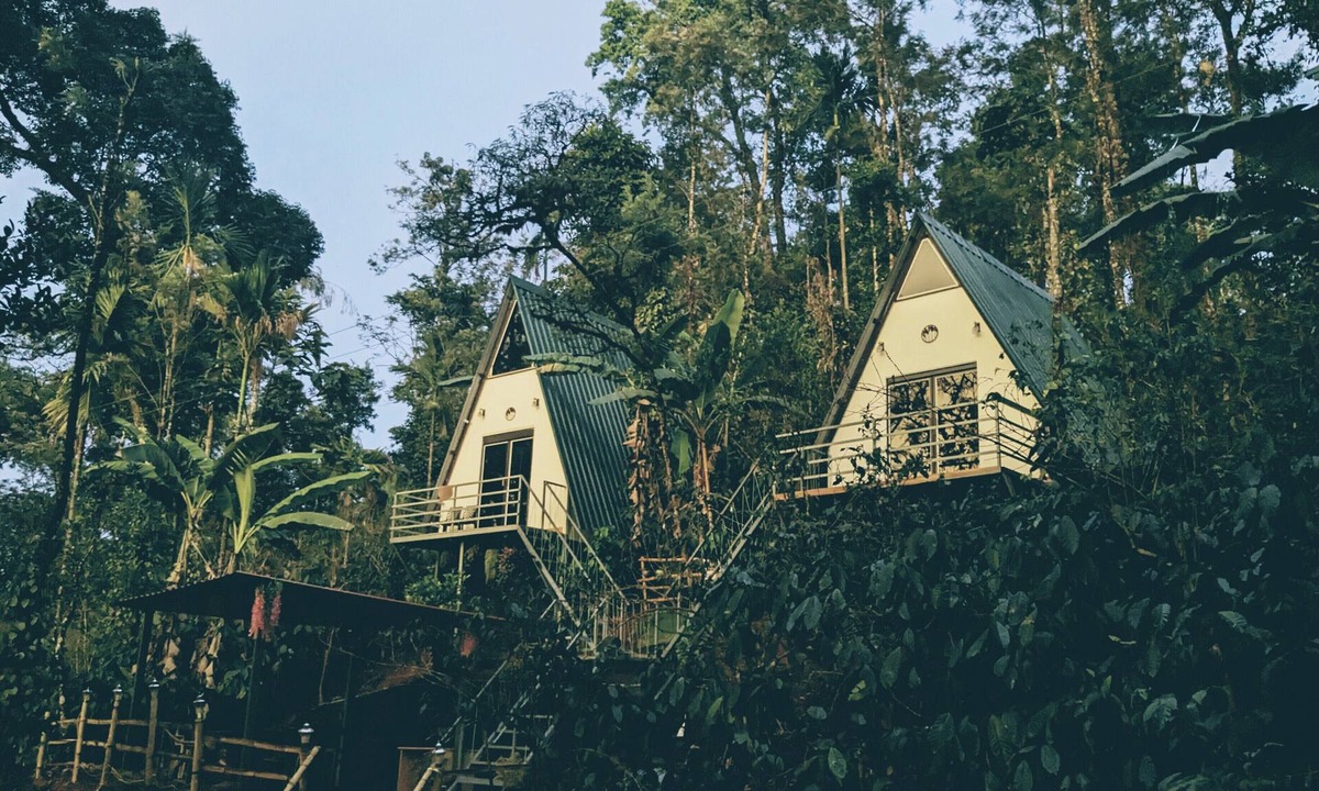 Bhagamandala House | Experience Serenity at Coorgology estate stay in Lush Coffee Plantations
