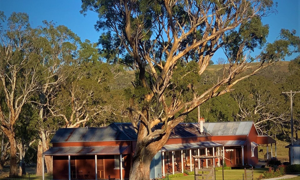 Matheson Cabin | Fabulous Country Stay on cattle & sheep property northern NSW
