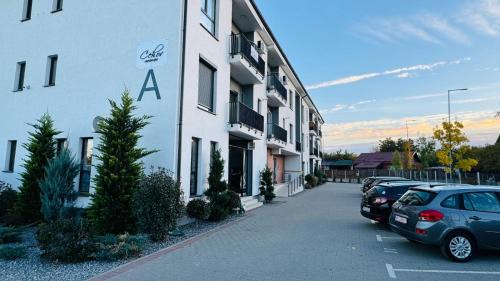 Arad Apartment | Felicia Apartments