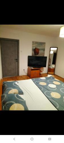Oradea Apartment | Flat 3