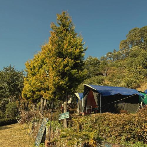Smanora Range Other | Forest Stay - by TripInterval