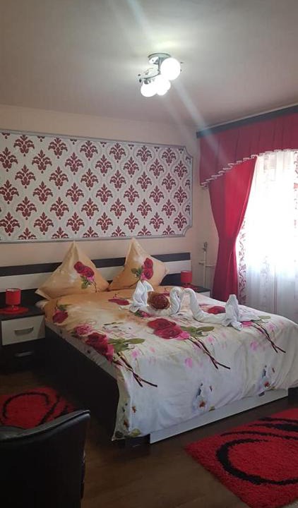 Sinmartin Apartment | Garsoniera Lorelai