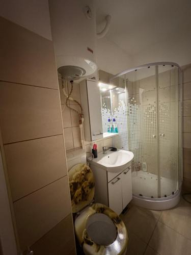 Drobeta-Turnu Severin Apartment | Garsoniera