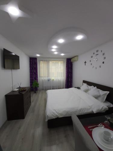 Galati Apartment | Garsoniera tiglina1