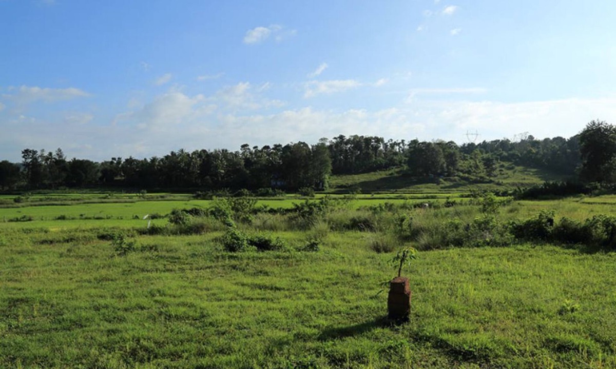 Kattikkulam Cottage | George's Cottage & Resort