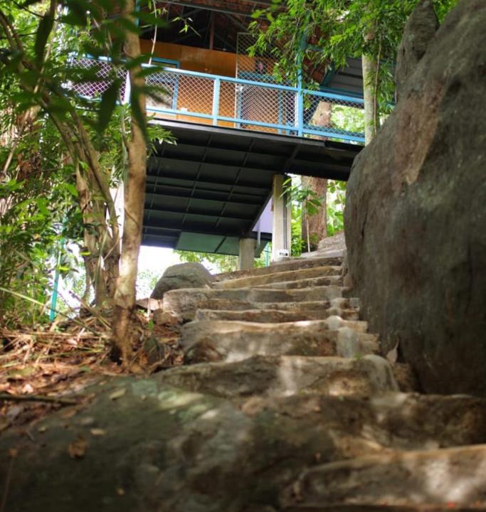 Lakkidi Resort | Glen Brooks Resorts