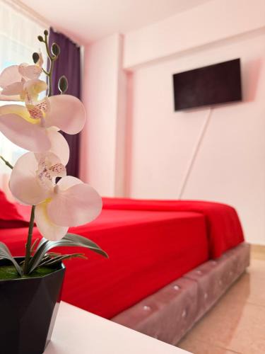 Iasi Apartment | Golden Home