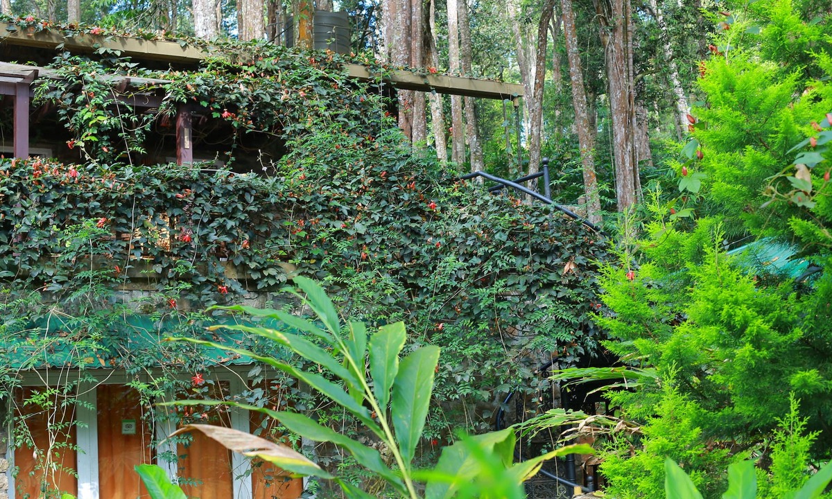 Moolakadai Bed & Breakfast | Green Spaces Munnar