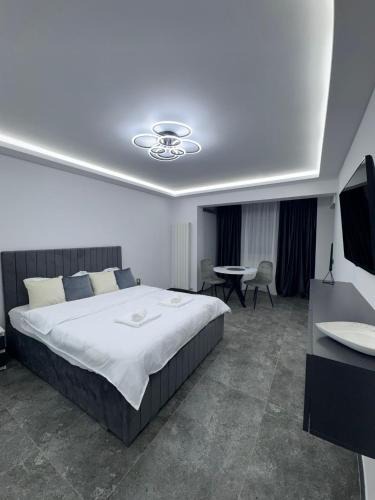 Braila Apartment | Grey Serenity