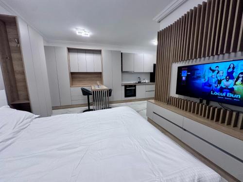 Giroc Apartment | Ground Floor Studio