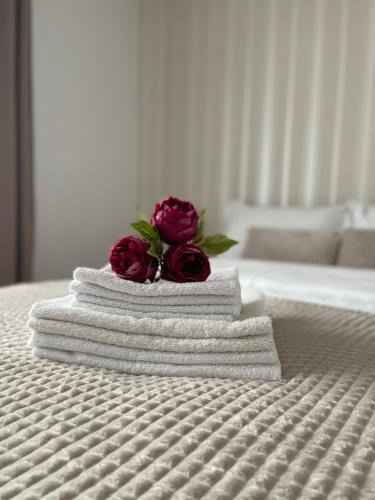 Lupeni Apartment | Guest House-Straja Lupeni