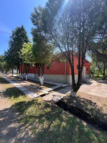 Gurasada Hostel | Gurasada Park Hostel