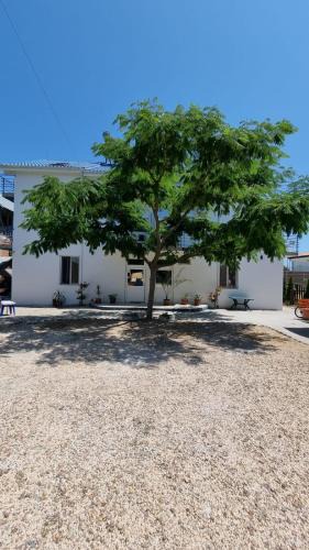Costinesti House | Harmony Villa