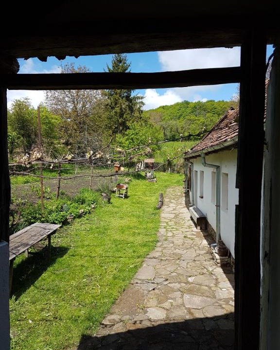 Bunesti House | Haus am Eck