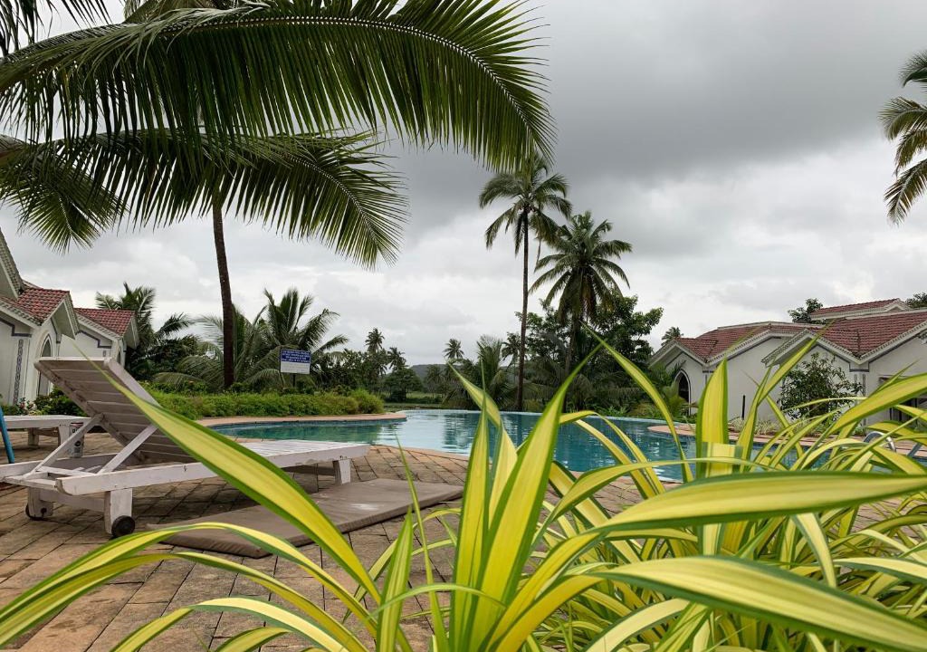 Kudal Apartment | Heart & Soul Beautiful 1 BHK Apartment With Pool View Balcony