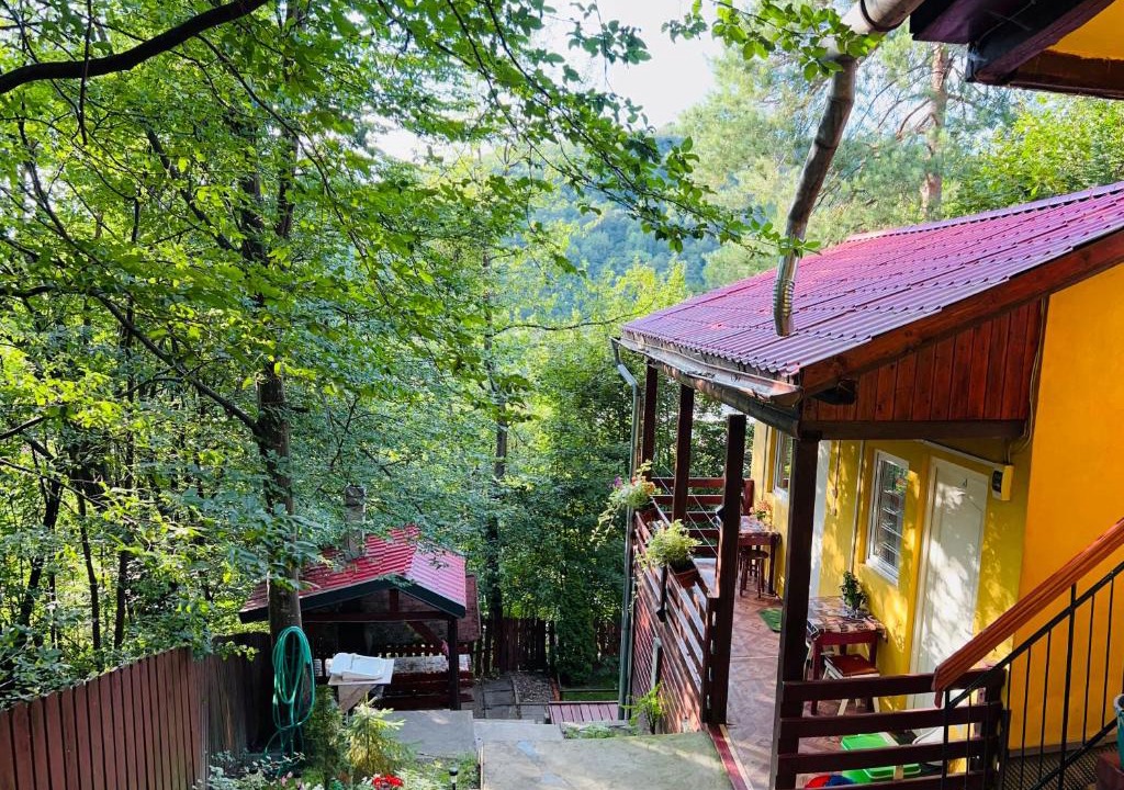 Praid House | Hegyi-lak vendégház
