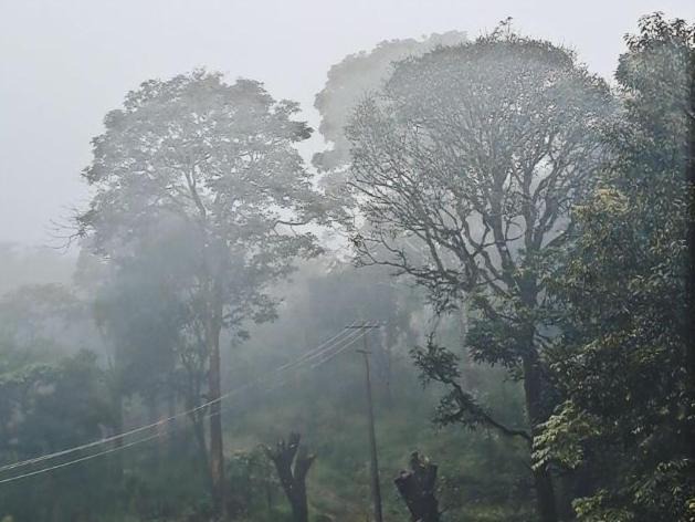 Stuart Hill House | Homestay at Madikeri