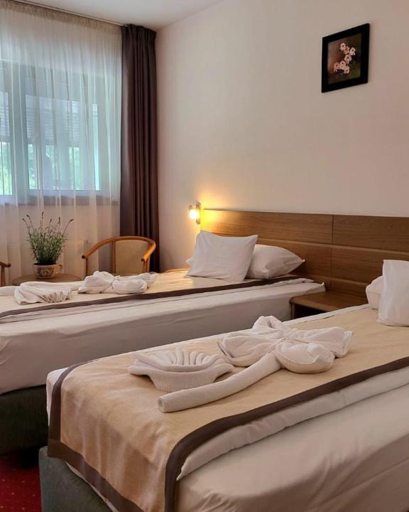 Cioplea Hotel | Hotel Carpați