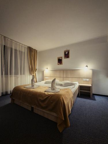 Valiug Hotel | Hotel Claris