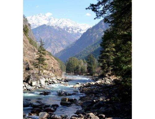 Kasol House | Hotel Deep Forest, Kullu