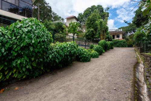 Kumily House | Hotel Treetop