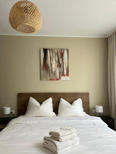 Baia Mare Apartment | Igla House