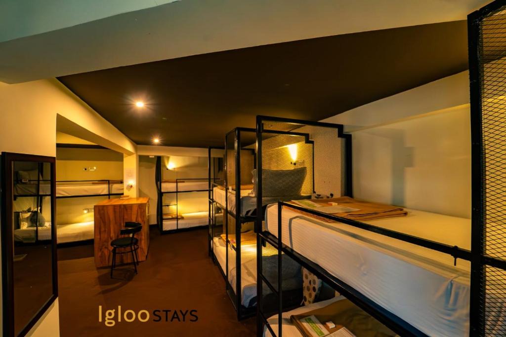 Edapalli Hostel | Igloo Stays Edapally