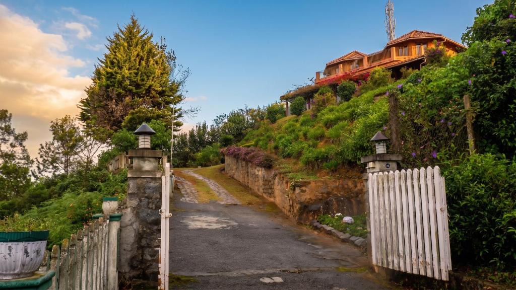 Wellington Bed & Breakfast | Ivy Hill
