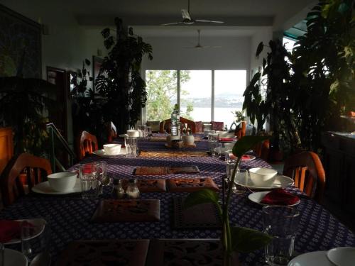 Bhopal Bed & Breakfast | Ivy Suites