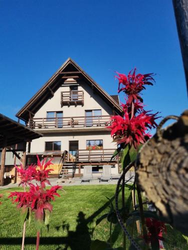 Sugag House | Izvorul Prigoanei